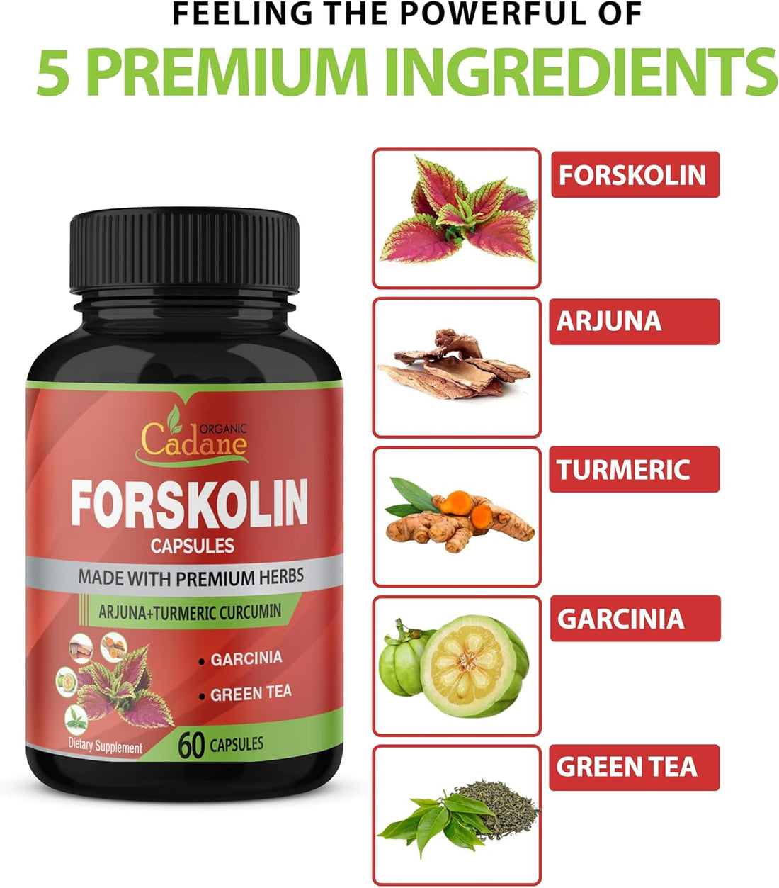 2-Pack Forskolin Supplement Capsules – Maximum Strength with Turmeric, Arjuna, Garcinia Cambogia & Green Tea – Boost Energy & Immune Support