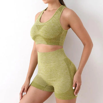 Women's 2-Piece Sports Bra Set - High-Waist Shorts & Vest with Great Elasticity, Quick-Dry Fabric for Activewear