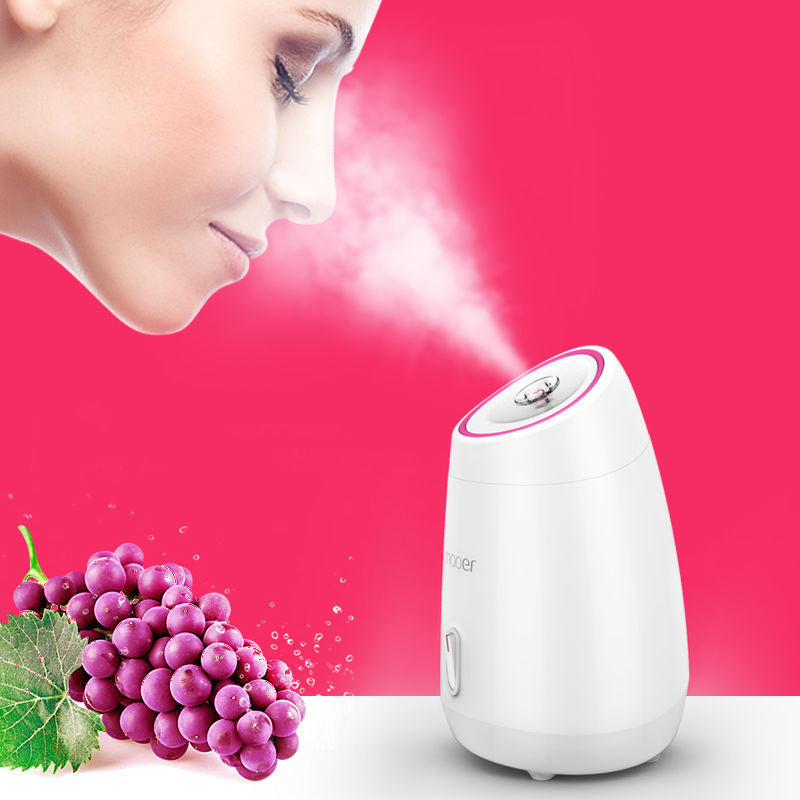 Face Steamer: Milk Whitening, Detoxification, Skin Softening, Beauty Apparatus, Hot Spray Machine, Household Nano Hydrating Spray Apparatus