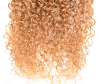 Real Human Hair Extensions: 100% Human Hair Gradient Wig