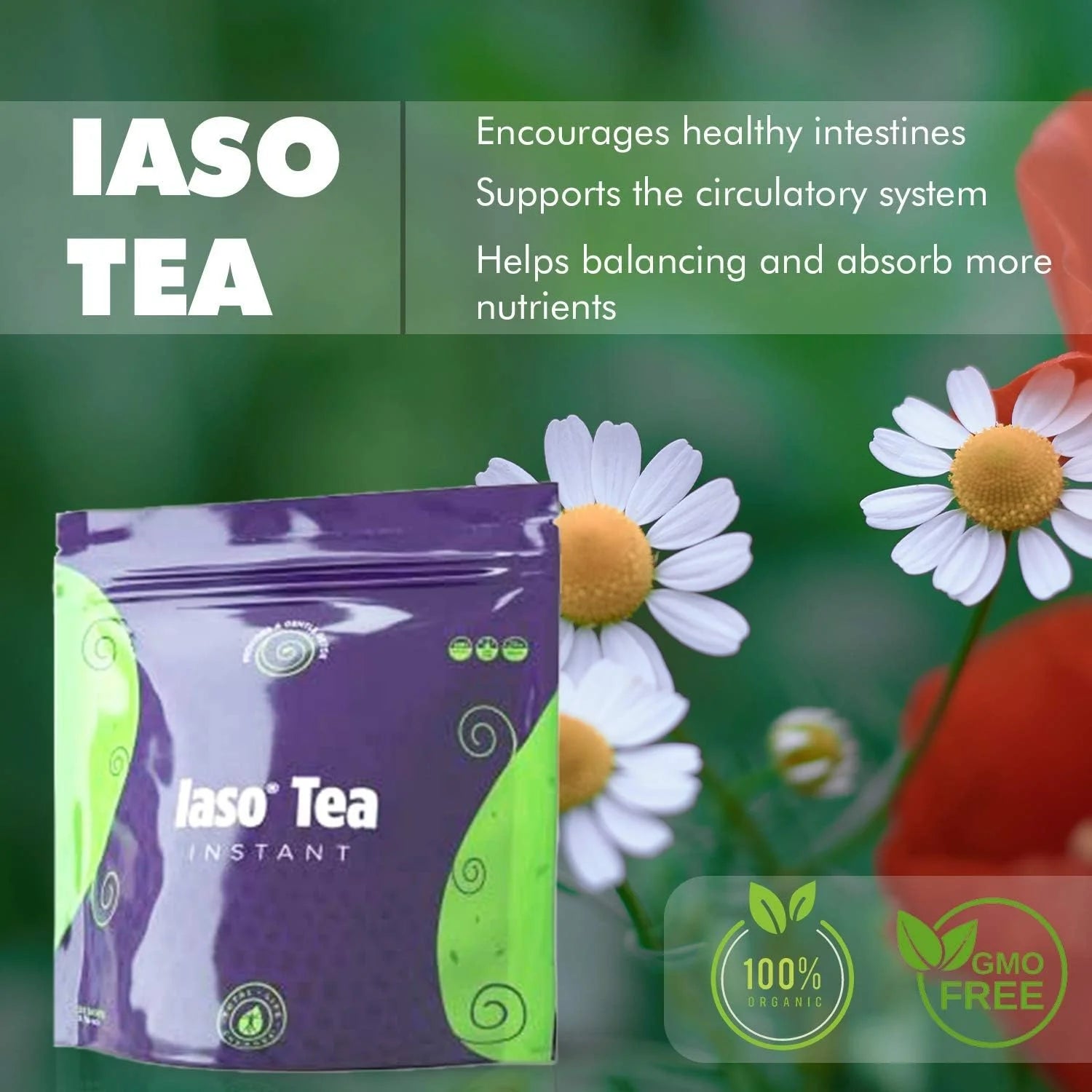 Iaso Tea Instant - Herbal Detox and Cleansing Tea - 25 Sachets