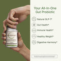 Akkermansia Probiotic for Healthy Weight | Naturally Increases GLP-1 | 60 Day Supply | Contains Bacillus Coagulans, Vitamins B2, D3 & Chromium | SIBO Friendly, Vegan & Gluten Free