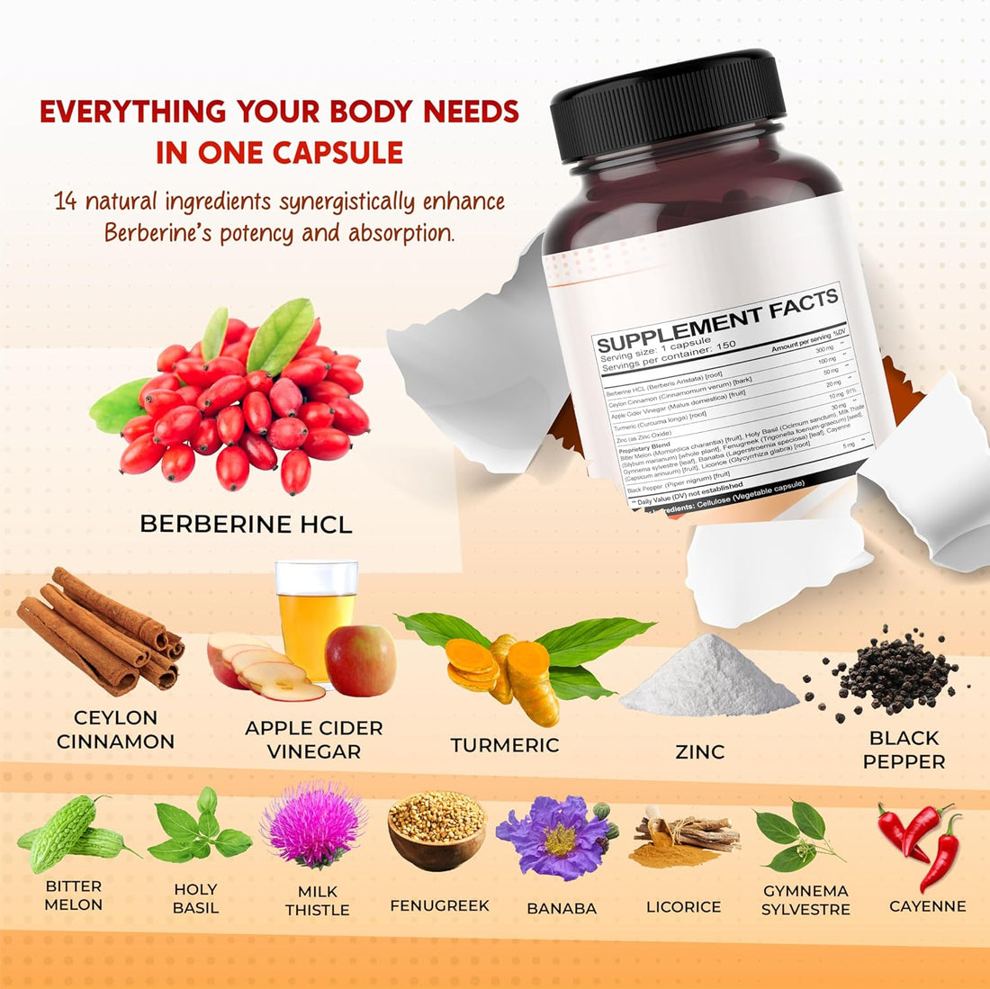 Berberine, Cinnamon & Apple Cider Vinegar with Turmeric – Blood Sugar, Metabolism & Digestive Support – 120 Capsules – Made in USA