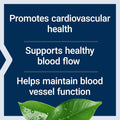 Potassium & Extended-Release Magnesium – Blood Pressure & Heart Health Support – Non-GMO, Vegetarian, 60 Capsules
