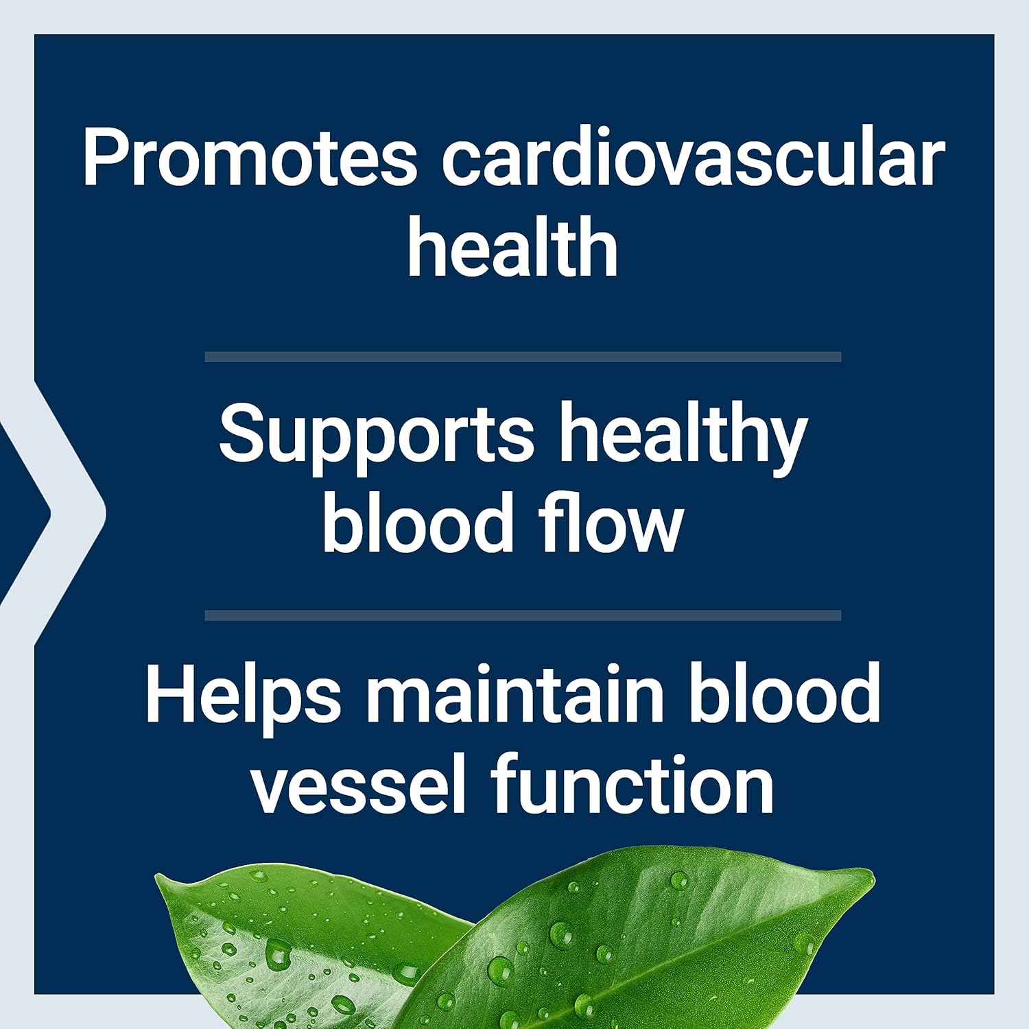Potassium & Extended-Release Magnesium – Blood Pressure & Heart Health Support – Non-GMO, Vegetarian, 60 Capsules