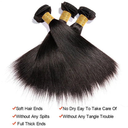Raw Indian Straight Human Hair Bundles in Natural Black for Women. Bone Straight Hair Extensions in a 2/3 Bundles Deal.