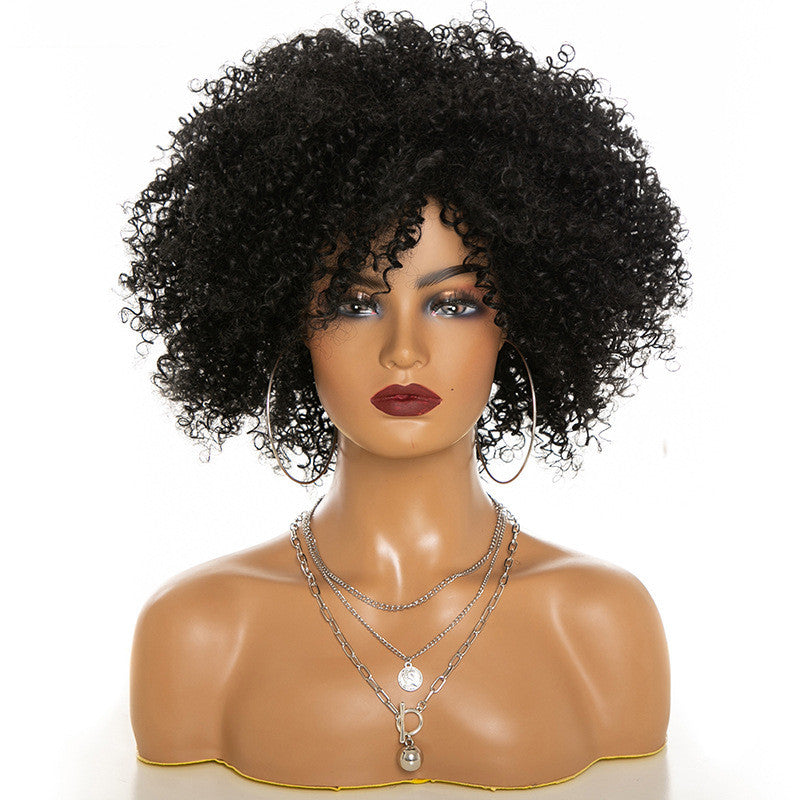 Afro Kinky Curly Hair Wigs