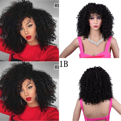 Synthetic Afro Curly Wig: African Wigs for Black Women