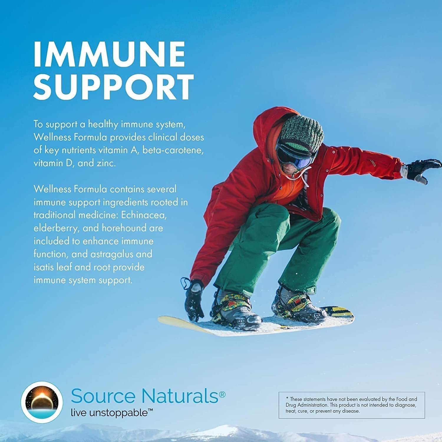 Wellness Formula – Advanced Immune Support with Vitamins & Herbal Blend | Immune System Booster Supplement – 120 Capsules